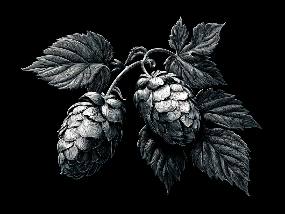 Hops and Sleep: A European Tradition Older Than Your Local Pub