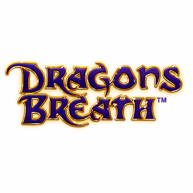 Dragons Breath Pine Needle Tea 25g – Hand-Foraged, Caffeine-Free | Made in Wales
